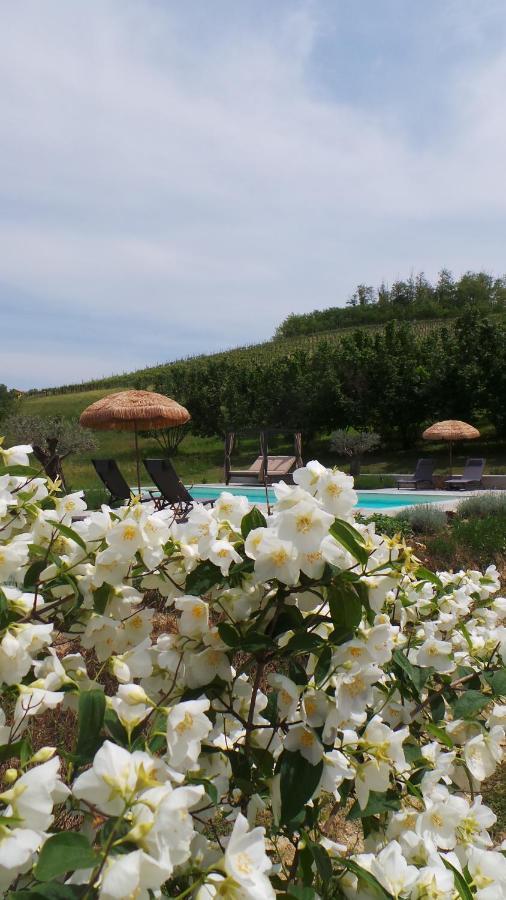 Sotto La Vigna Charm Stay Adults Only Vacation Suite Montegrosso dʼAsti Zewnętrze zdjęcie